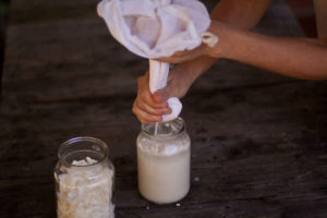 Homemade Coconut Milk Recipe